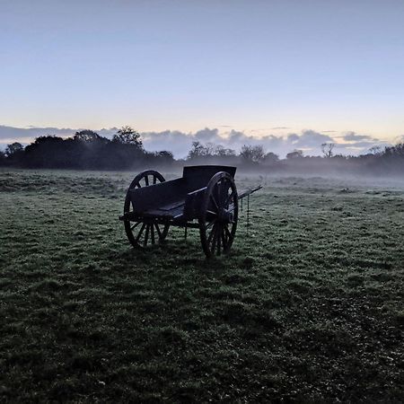 Ferme De Franqueville Сент-Мари-дю-Мон Экстерьер фото