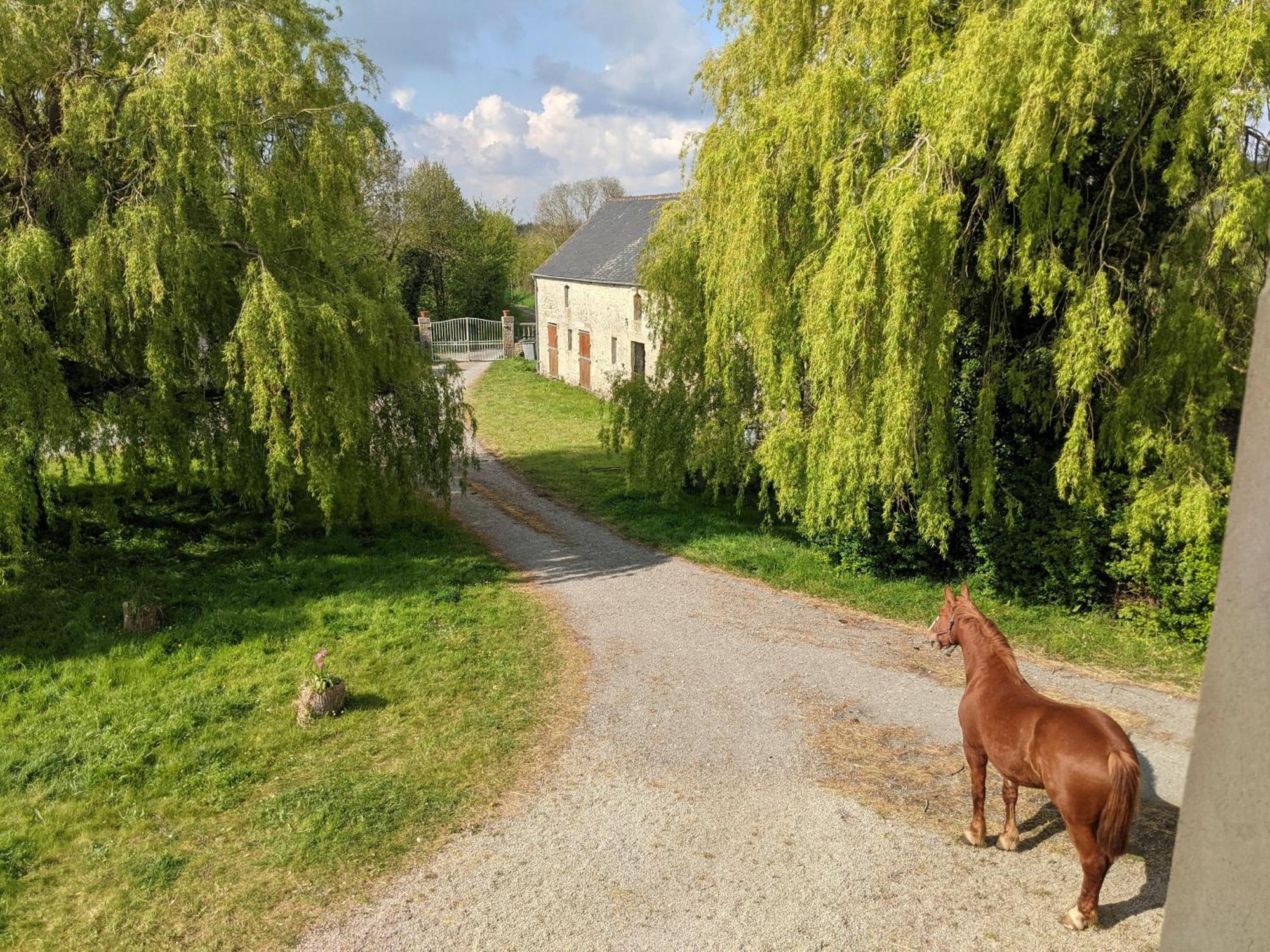 Ferme De Franqueville Сент-Мари-дю-Мон Экстерьер фото