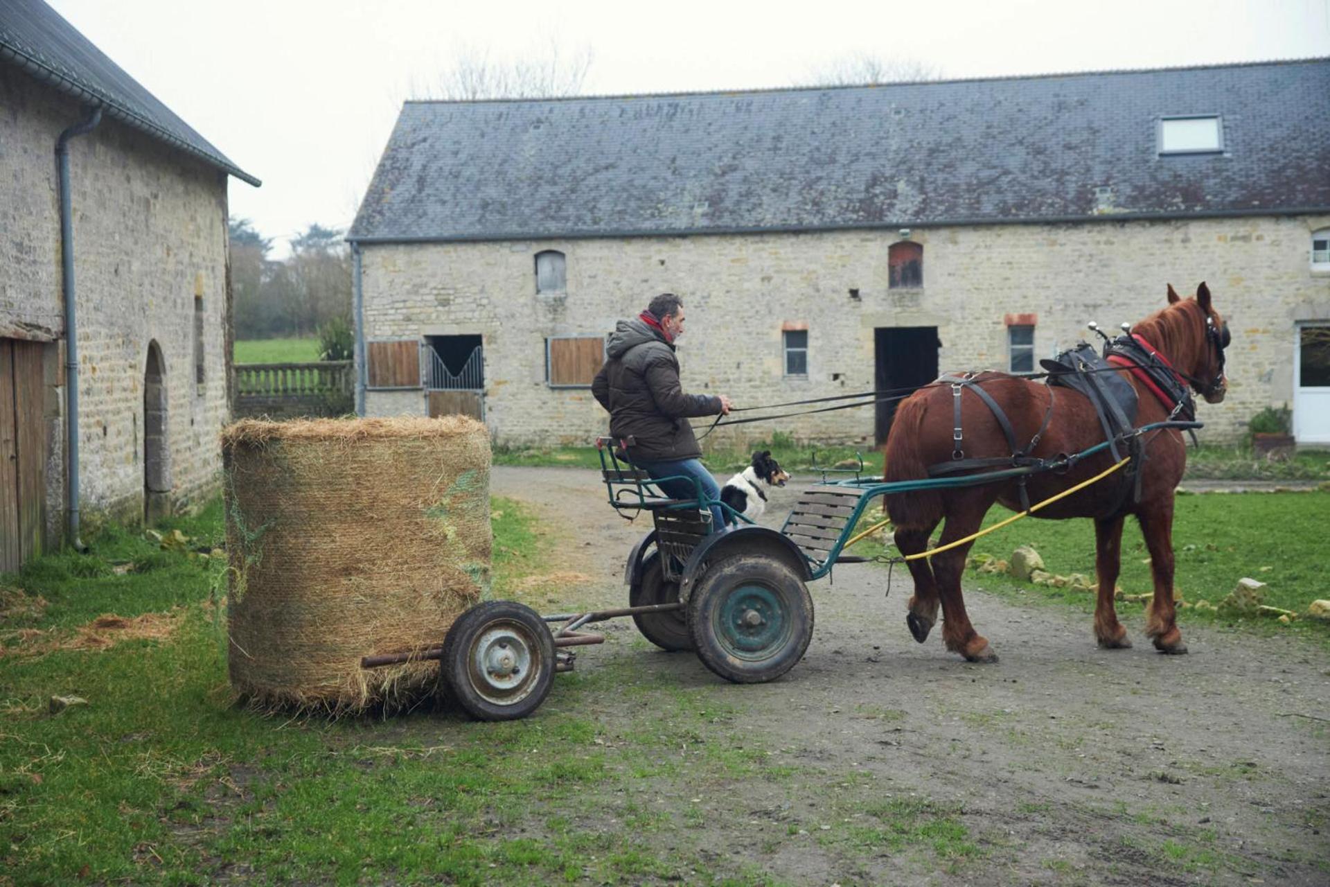 Ferme De Franqueville Сент-Мари-дю-Мон Экстерьер фото
